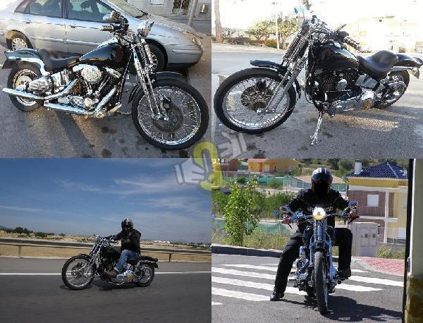Harley Davidson Softail Springer 1340cc 1994